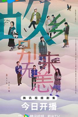 如何优化地方网站排名